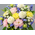 Mix Flowers Funeral Arrangement - Japan Florist