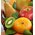 Fruit Basket Shop Japan | Premier Fruits