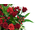 Cheap Flower Delivery Japan – Red Roses