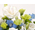 funeral-flower-japan-white-arrangement