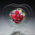 Fairy Heart Preserve Flower in Glass (Red) | Japan Florist