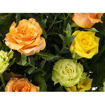 Flowers Online Japan