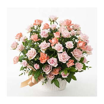 50 Pink Rose in Japanese – Elegant Arrangement