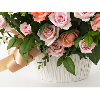 50 Pink Rose in Japanese