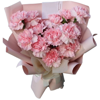 12 Pink Carnations Bouquet - Flower Bouquet Japan