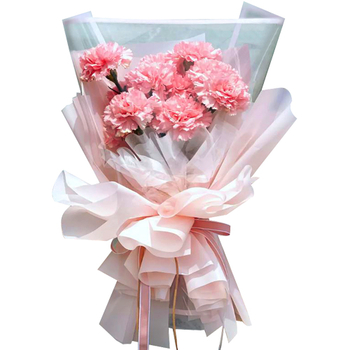 12 Red Carnations Bouquet Japan