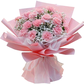 Flower Delivery Japan - 2 Dozen Pink Carnations Bouquet
