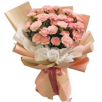 Send Flowers to Japan - 2 Dozen Pink Carnations Bouquet