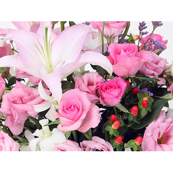 Japan Flower Shop Delivery