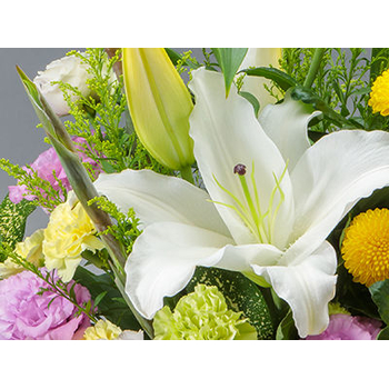 Japan Flower Shop Delivery