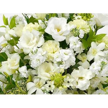 Sympathy Flowers to Japan – White Arrangement