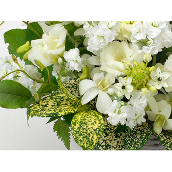 Sympathy Flowers to Japan – White Arrangement