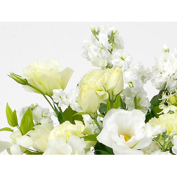 Sympathy Flowers to Japan – White Arrangement