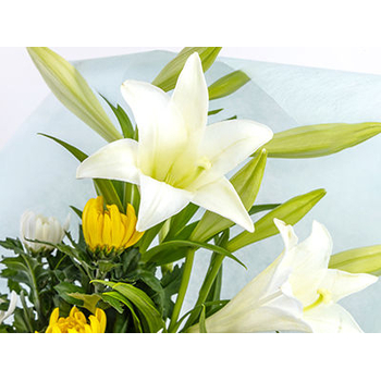 sympathy-flowers-to-japan