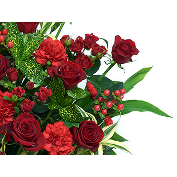 Cheap Flower Delivery Japan – Red Roses