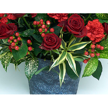 Cheap Flower Delivery Japan