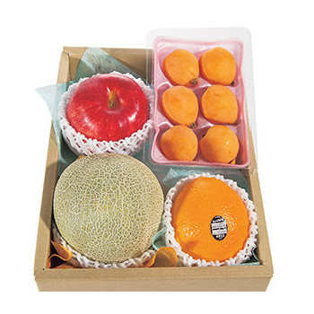 Send Seasonal Fruit Basket Japan
