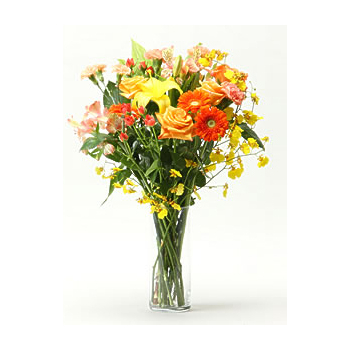 Roses, Gerberas & Carnations Delivery Japan