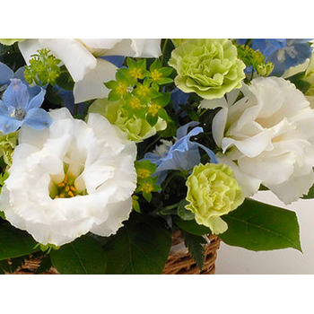 Funeral Flower Japan – White Arrangement