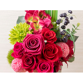 Preza Under Akane Sora Japan