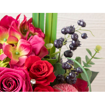 Preza Under Akane Sora Japan