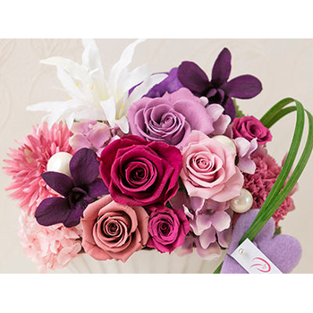 Preserved Flower Japan – Violet Preserve Flowers