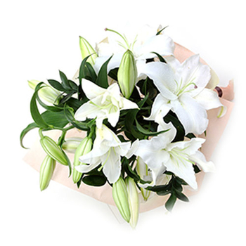 Send Flowers Japan Online – White Lilies