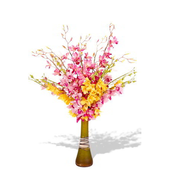 Assorted Orchids Vase Online Japan