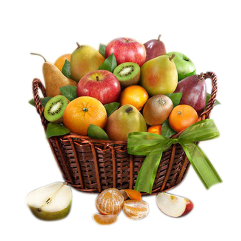 Fruit Basket Shop Japan | Premier Fruits