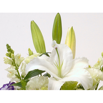 sympathy-flowers-to-japan-funeral-flowers