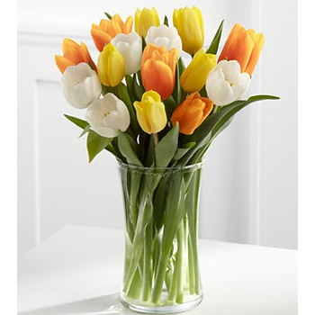 12 Mix Tulips Vase Delivery Japan