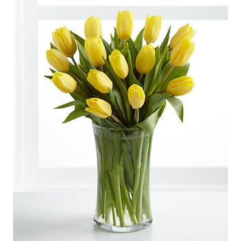 Twelve Yellow Tulips Bouquet Japan