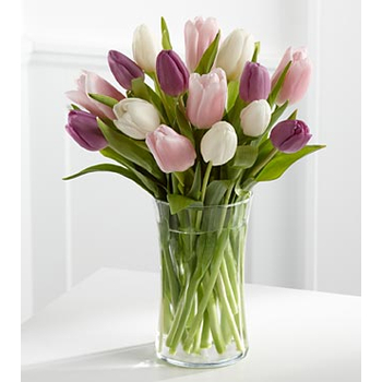 12 Mix Tulips Flower Delivery Japan