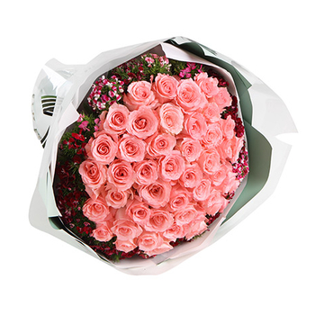 Send Flowers Japan Online – 50 Pink Roses