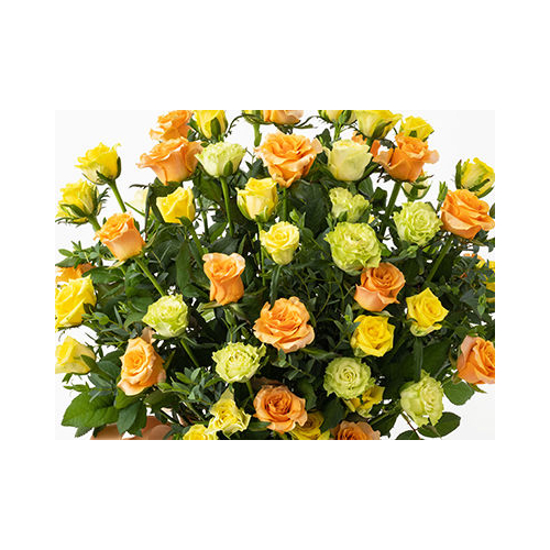 Flowers Online Japan – 50 Mix Roses
