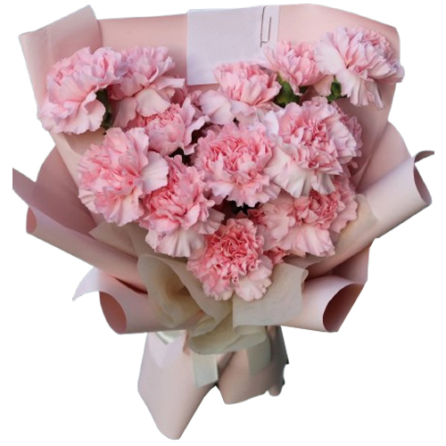 12 Pink Carnations Bouquet - Flower Bouquet Japan