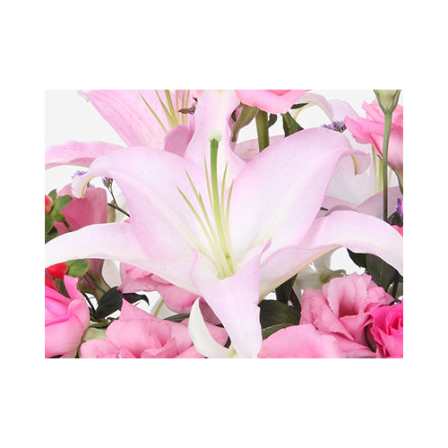 Japan Flower Shop Delivery