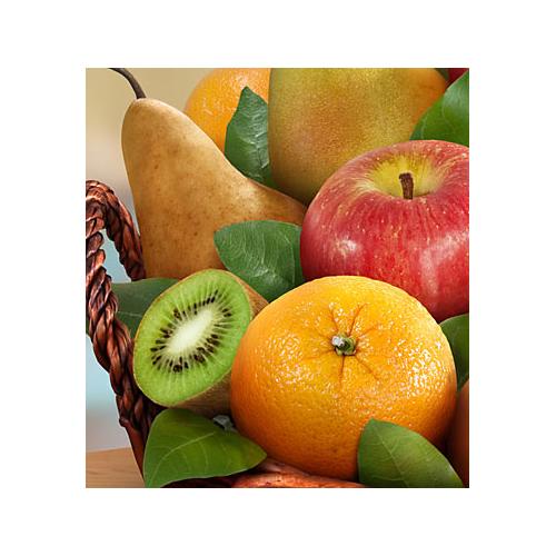 Fruit Basket Shop Japan | Premier Fruits