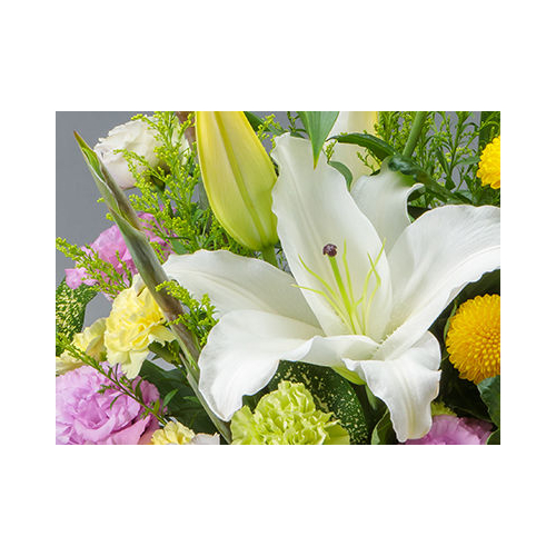 Japan Flower Shop Delivery