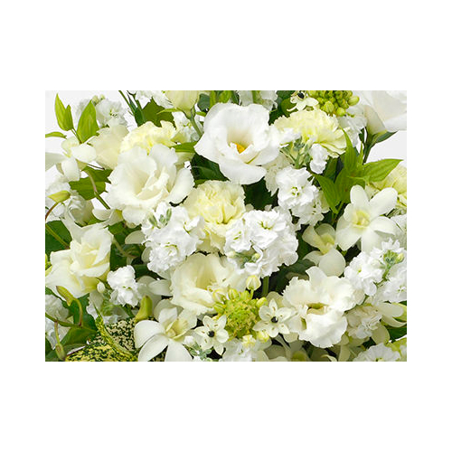 Sympathy Flowers to Japan – White Arrangement