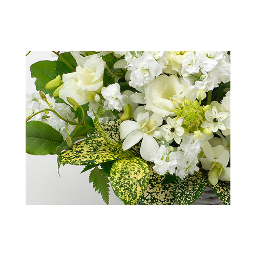 Sympathy Flowers to Japan – White Arrangement