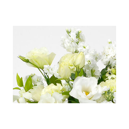 Sympathy Flowers to Japan – White Arrangement