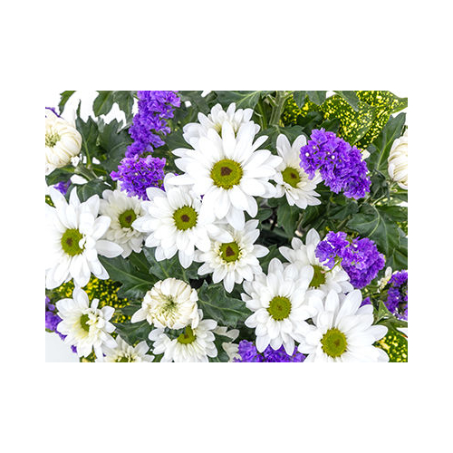 Funeral Flower Japan