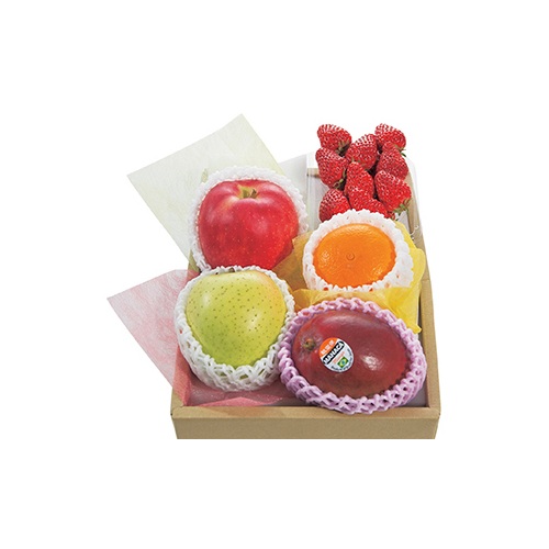 Send Seasonal Fruit Basket Japan