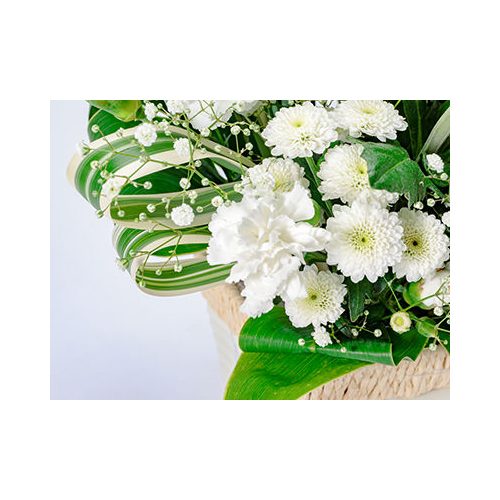 Funeral Flower Japan – Mums Arrangement
