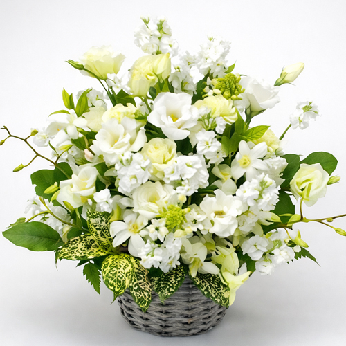 Sympathy Flowers to Japan – White Arrangement