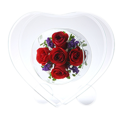 Fairy Heart Preserve Red Flower Glass Japan