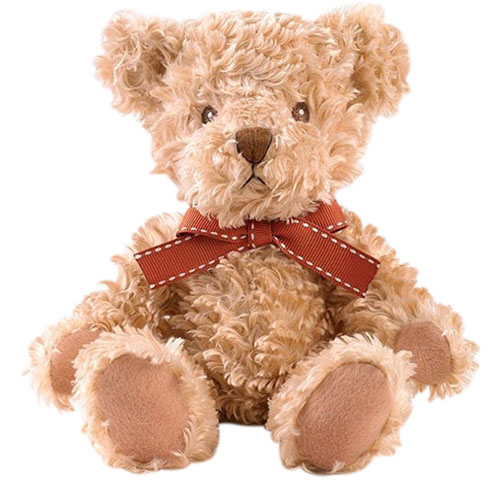 Huggy Fluffy Teddy Bear - Japanese Cute Bear