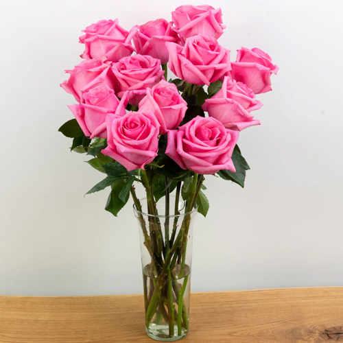 pink rose in japanese