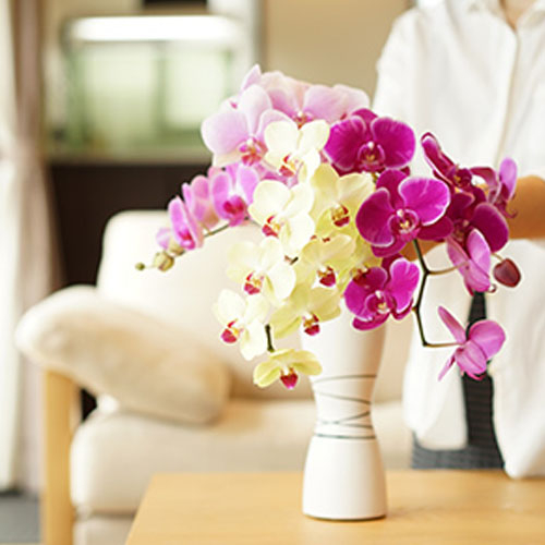 Order Flowers Online Japan